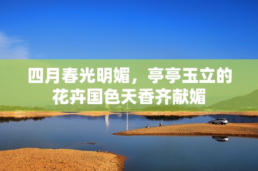 四月春光明媚，亭亭玉立的花卉国色天香齐献媚