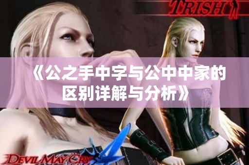 《公之手中字与公中中家的区别详解与分析》