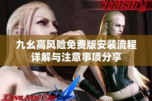 九幺高风险免费版安装流程详解与注意事项分享