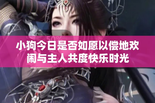 小狗今日是否如愿以偿地欢闹与主人共度快乐时光