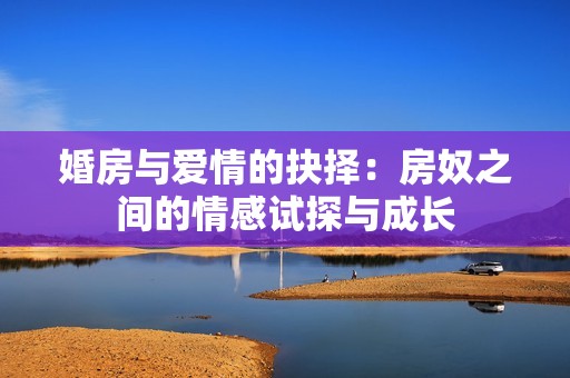 婚房与爱情的抉择：房奴之间的情感试探与成长