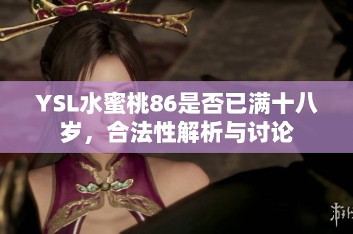 YSL水蜜桃86是否已满十八岁，合法性解析与讨论