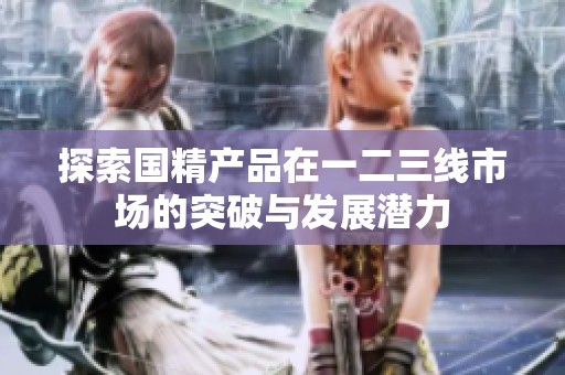 探索国精产品在一二三线市场的突破与发展潜力