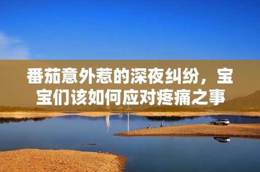 番茄意外惹的深夜纠纷，宝宝们该如何应对疼痛之事