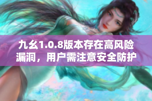 九幺1.0.8版本存在高风险漏洞，用户需注意安全防护措施