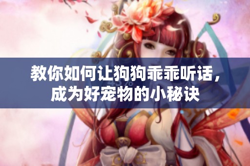教你如何让狗狗乖乖听话，成为好宠物的小秘诀