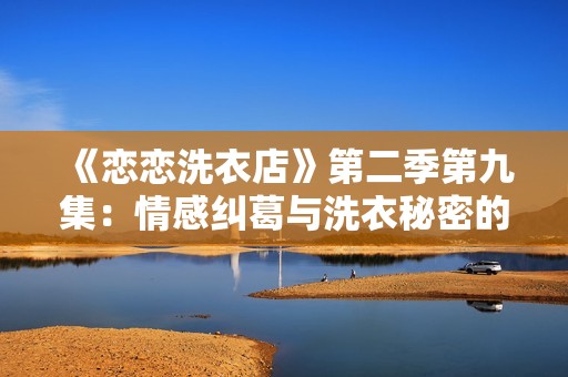 《恋恋洗衣店》第二季第九集：情感纠葛与洗衣秘密的交织