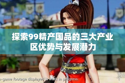 探索99精产国品的三大产业区优势与发展潜力