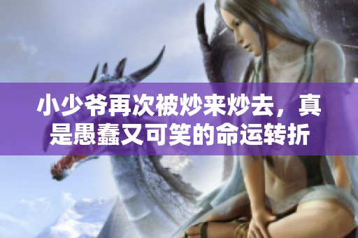 小少爷再次被炒来炒去，真是愚蠢又可笑的命运转折