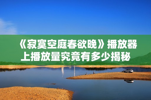 《寂寞空庭春欲晚》播放器上播放量究竟有多少揭秘