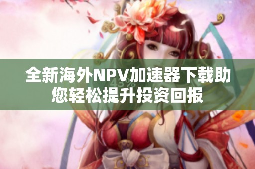 全新海外NPV加速器下载助您轻松提升投资回报