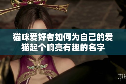 猫咪爱好者如何为自己的爱猫起个响亮有趣的名字