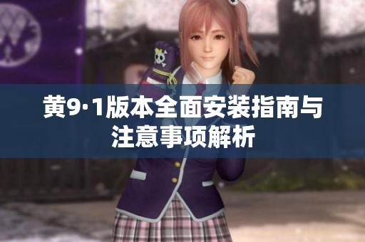 黄9·1版本全面安装指南与注意事项解析