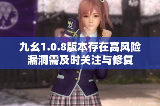 九幺1.0.8版本存在高风险漏洞需及时关注与修复