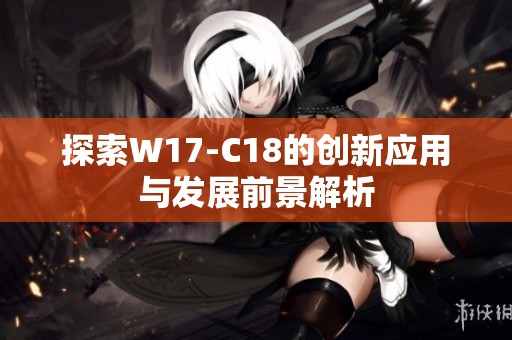 探索W17-C18的创新应用与发展前景解析