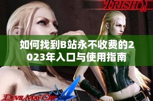 如何找到B站永不收费的2023年入口与使用指南