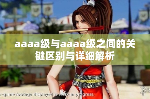 aaaa级与aaaa级之间的关键区别与详细解析