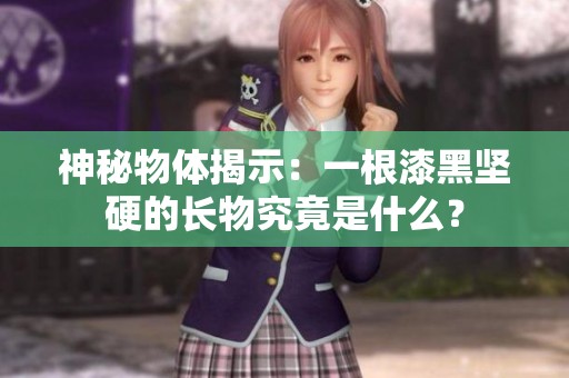 神秘物体揭示：一根漆黑坚硬的长物究竟是什么？