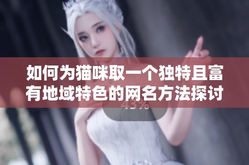 如何为猫咪取一个独特且富有地域特色的网名方法探讨