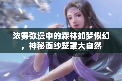 浓雾弥漫中的森林如梦似幻，神秘面纱笼罩大自然