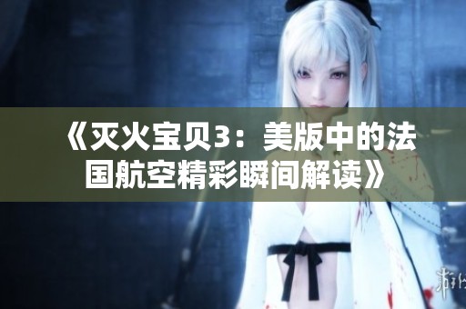 《灭火宝贝3：美版中的法国航空精彩瞬间解读》