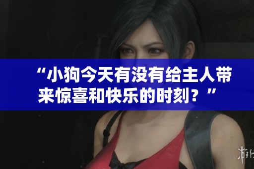 “小狗今天有没有给主人带来惊喜和快乐的时刻？”