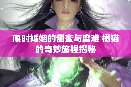 限时婚姻的甜蜜与磨难 橘猫的奇妙旅程揭秘