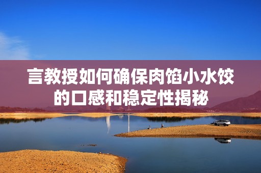 言教授如何确保肉馅小水饺的口感和稳定性揭秘