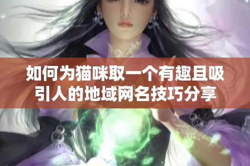 如何为猫咪取一个有趣且吸引人的地域网名技巧分享