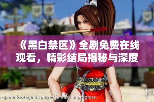 《黑白禁区》全剧免费在线观看，精彩结局揭秘与深度解析