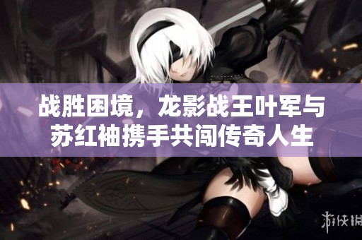 战胜困境，龙影战王叶军与苏红袖携手共闯传奇人生