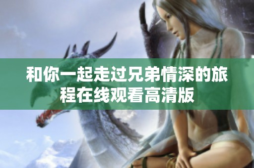 和你一起走过兄弟情深的旅程在线观看高清版