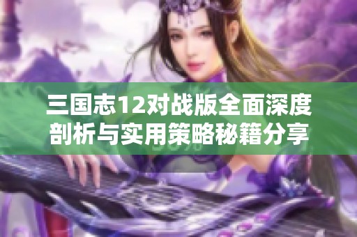 三国志12对战版全面深度剖析与实用策略秘籍分享