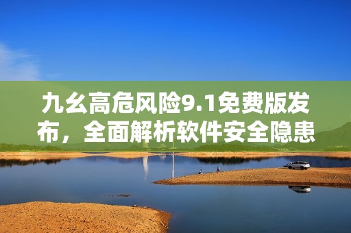 九幺高危风险9.1免费版发布，全面解析软件安全隐患