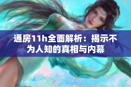 通房11h全面解析：揭示不为人知的真相与内幕