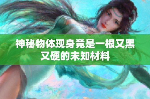 神秘物体现身竟是一根又黑又硬的未知材料