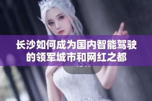 长沙如何成为国内智能驾驶的领军城市和网红之都