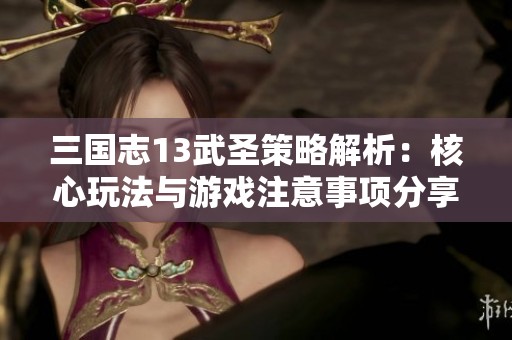 三国志13武圣策略解析：核心玩法与游戏注意事项分享