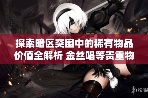 探索暗区突围中的稀有物品价值全解析 金丝唱等贵重物品价格一览无遗