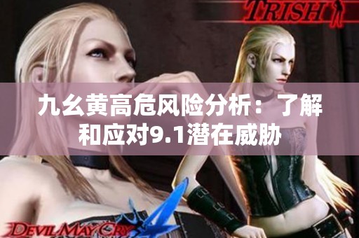 九幺黄高危风险分析：了解和应对9.1潜在威胁