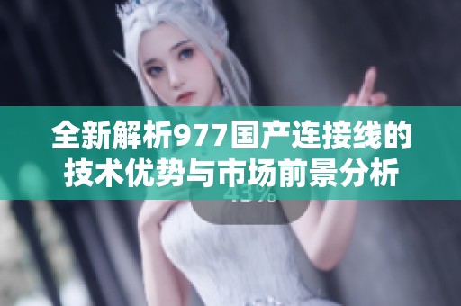 全新解析977国产连接线的技术优势与市场前景分析