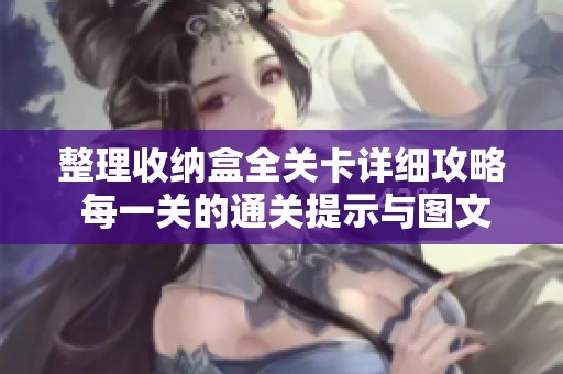 整理收纳盒全关卡详细攻略 每一关的通关提示与图文解析尽在此处
