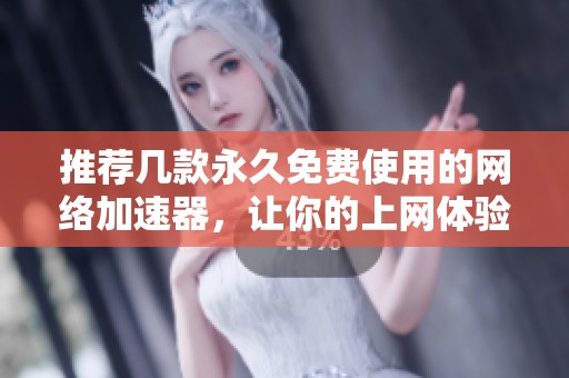 推荐几款永久免费使用的网络加速器，让你的上网体验更流畅