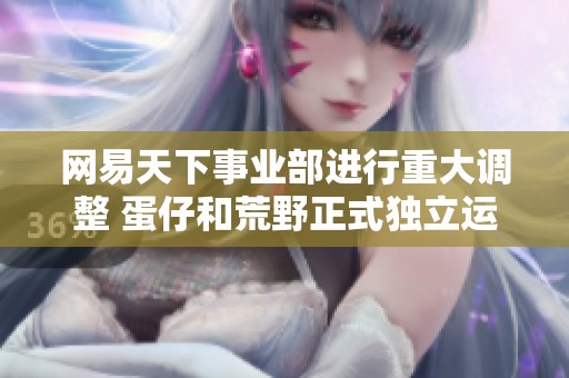 网易天下事业部进行重大调整 蛋仔和荒野正式独立运营