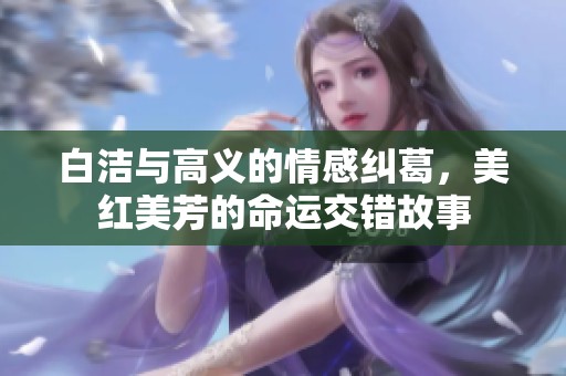白洁与高义的情感纠葛，美红美芳的命运交错故事
