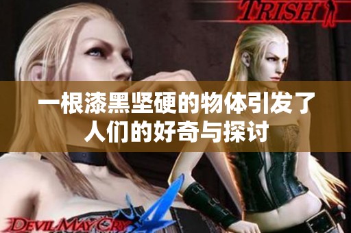 一根漆黑坚硬的物体引发了人们的好奇与探讨