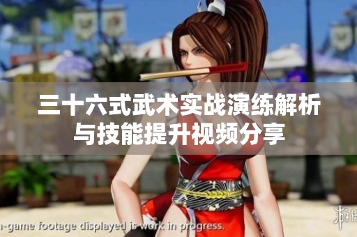 三十六式武术实战演练解析与技能提升视频分享