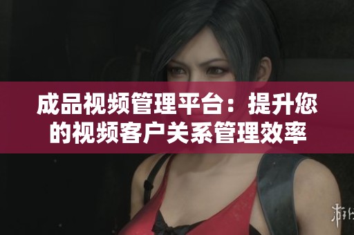 成品视频管理平台：提升您的视频客户关系管理效率
