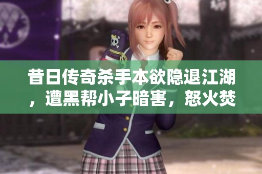 昔日传奇杀手本欲隐退江湖，遭黑帮小子暗害，怒火焚天一举血洗黑帮复仇记