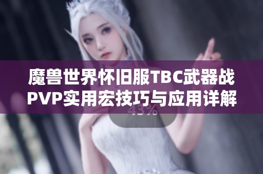 魔兽世界怀旧服TBC武器战PVP实用宏技巧与应用详解